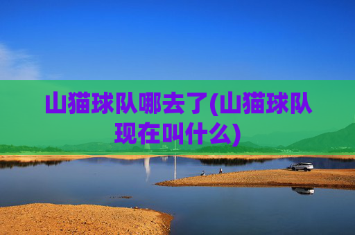 山猫球队哪去了(山猫球队现在叫什么)