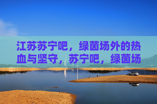 江苏苏宁吧，绿茵场外的热血与坚守，苏宁吧，绿茵场外的热血坚守