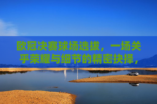 欧冠决赛球场选拔，一场关乎荣耀与细节的精密抉择，欧冠决赛球场选拔，荣耀与细节的精密抉择