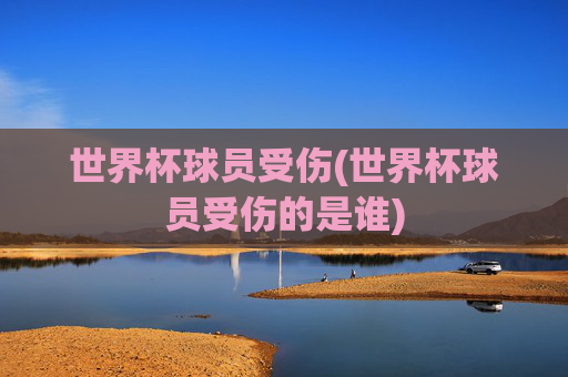 世界杯球员受伤(世界杯球员受伤的是谁)