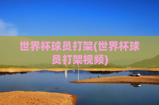 世界杯球员打架(世界杯球员打架视频)