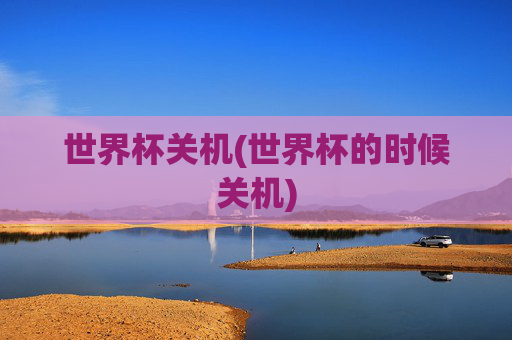 世界杯关机(世界杯的时候关机)