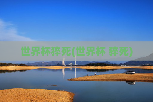 世界杯猝死(世界杯 猝死)