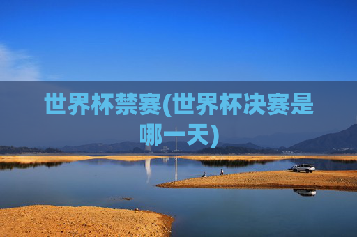 世界杯禁赛(世界杯决赛是哪一天)