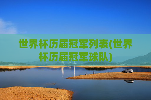 世界杯历届冠军列表(世界杯历届冠军球队)