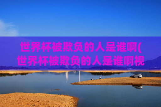 世界杯被欺负的人是谁啊(世界杯被欺负的人是谁啊视频)