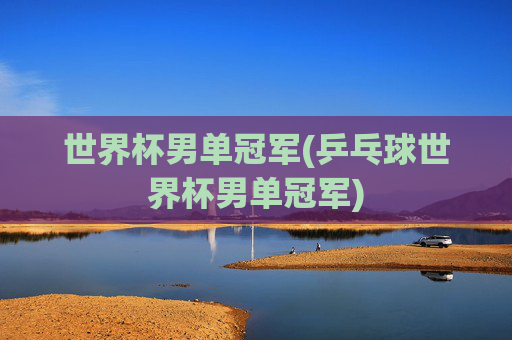 世界杯男单冠军(乒乓球世界杯男单冠军)