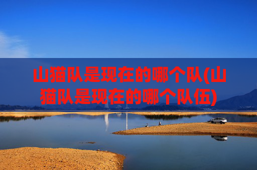 山猫队是现在的哪个队(山猫队是现在的哪个队伍)