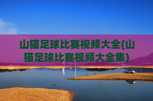 山猫足球比赛视频大全(山猫足球比赛视频大全集)