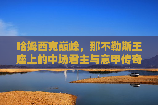 哈姆西克巅峰,那不勒斯王座上的中场君主与意甲传奇的黄金时代,哈姆西克,那不勒斯王座的中场君主与意甲黄金时代
