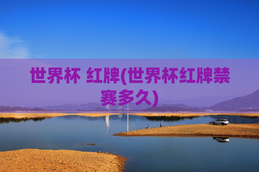 世界杯 红牌(世界杯红牌禁赛多久)