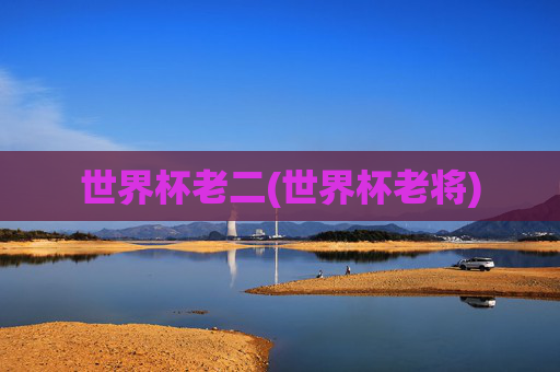 世界杯老二(世界杯老将)