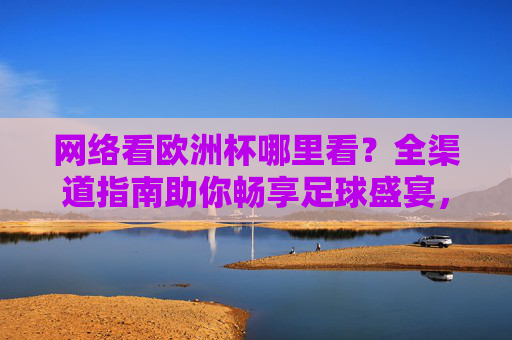 网络看欧洲杯哪里看？全渠道指南助你畅享足球盛宴，网络看欧洲杯全渠道指南，畅享足球盛宴