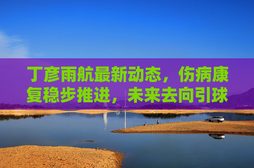 丁彦雨航最新动态，伤病康复稳步推进，未来去向引球迷热议，丁彦雨航伤病康复稳步推进 未来去向引球迷热议