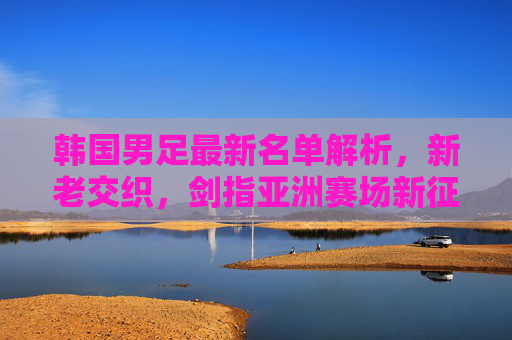 韩国男足最新名单解析，新老交织，剑指亚洲赛场新征程，韩国男足新老交织，剑指亚洲赛场新征程