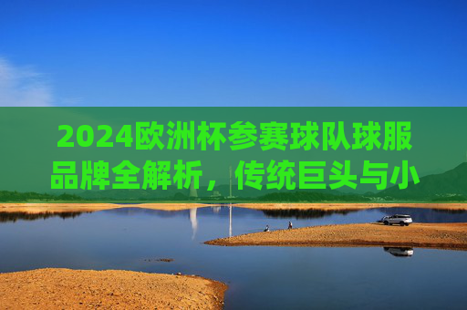 2024欧洲杯参赛球队球服品牌全解析，传统巨头与小众品牌的赛场较量，2024欧洲杯球服品牌角逐，传统巨头与小众品牌的赛场较量