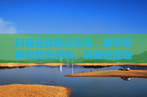 科隆迎战勒沃库森,德甲前瞻与胜负预测,科隆迎战勒沃库森,德甲前瞻与胜负预测