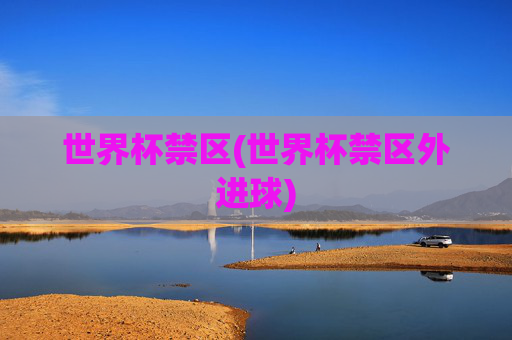 世界杯禁区(世界杯禁区外进球)