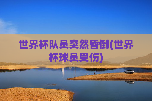世界杯队员突然昏倒(世界杯球员受伤)