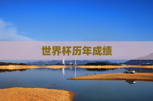 世界杯历年成绩