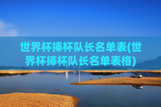 世界杯捧杯队长名单表(世界杯捧杯队长名单表格)