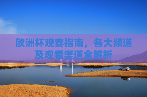 欧洲杯观赛指南,各大频道及观看渠道全解析