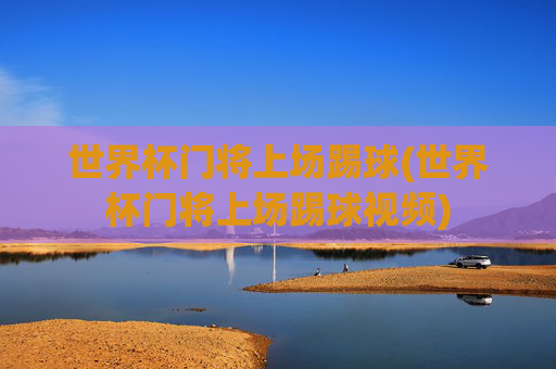 世界杯门将上场踢球(世界杯门将上场踢球视频)