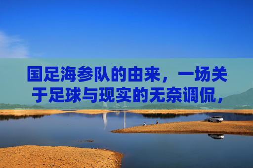 国足海参队的由来,一场关于足球与现实的无奈调侃,国足海参队由来,足球与现实的无奈调侃