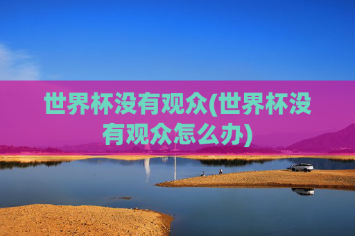 世界杯没有观众(世界杯没有观众怎么办)