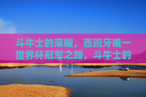 斗牛士的荣耀，西班牙唯一世界杯冠军之路，斗牛士的荣耀，西班牙唯一世界杯冠军之路
