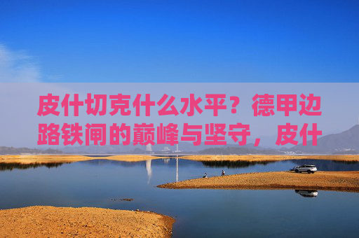 皮什切克什么水平?德甲边路铁闸的巅峰与坚守,皮什切克,德甲边路铁闸的巅峰与坚守