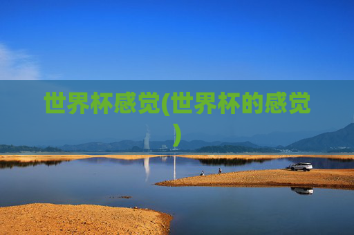世界杯感觉(世界杯的感觉)