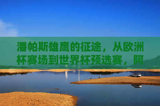 潘帕斯雄鹰的征途,从欧洲杯赛场到世界杯预选赛,阿根廷足球的永恒渴望,潘帕斯雄鹰的征途,欧洲杯至世界杯预选赛的永恒渴望