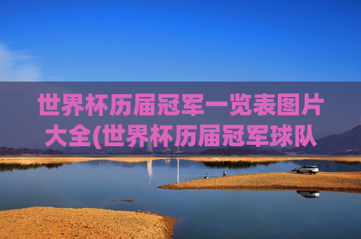 世界杯历届冠军一览表图片大全(世界杯历届冠军球队)