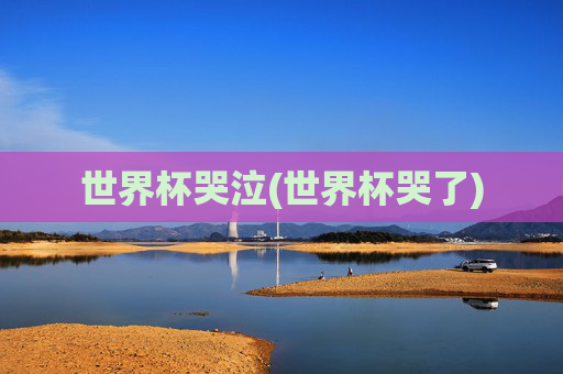 世界杯哭泣(世界杯哭了)