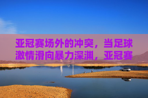 亚冠赛场外的冲突,当足球激情滑向暴力深渊,亚冠赛场外冲突,足球激情滑向暴力深渊