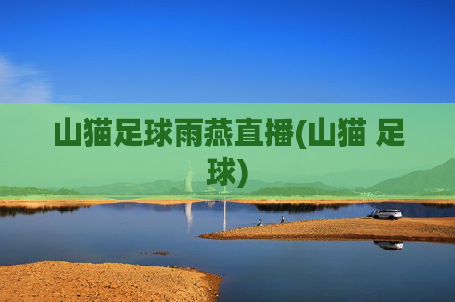 山猫足球雨燕直播(山猫 足球)