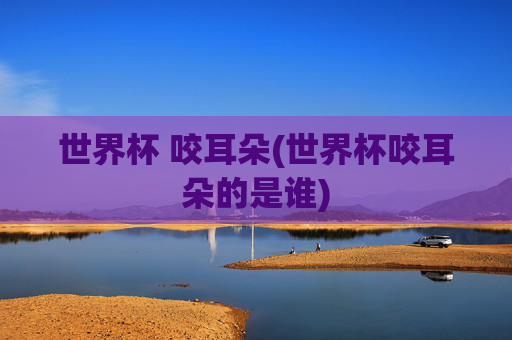 世界杯 咬耳朵(世界杯咬耳朵的是谁)
