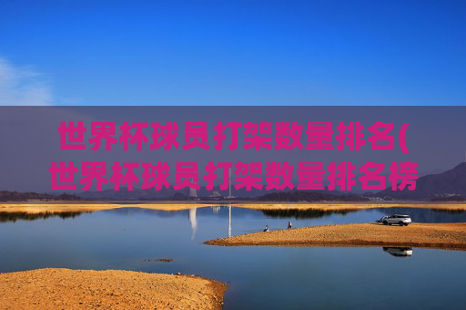 世界杯球员打架数量排名(世界杯球员打架数量排名榜)