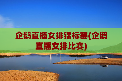 企鹅直播女排锦标赛(企鹅直播女排比赛)
