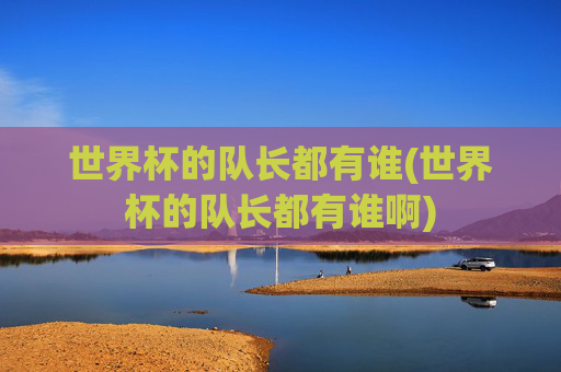 世界杯的队长都有谁(世界杯的队长都有谁啊)