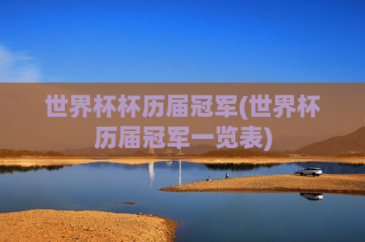 世界杯杯历届冠军(世界杯历届冠军一览表)