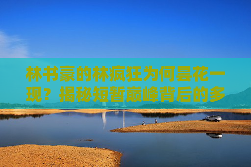 林书豪的林疯狂为何昙花一现?揭秘短暂巅峰背后的多重因素