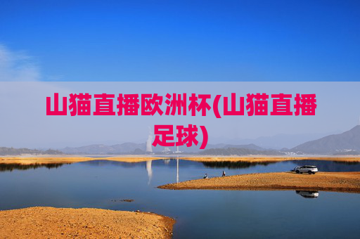 山猫直播欧洲杯(山猫直播足球)