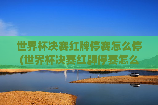 世界杯决赛红牌停赛怎么停(世界杯决赛红牌停赛怎么停的)