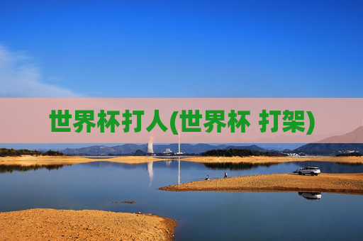 世界杯打人(世界杯 打架)