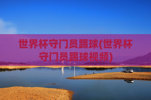 世界杯守门员踢球(世界杯守门员踢球视频)