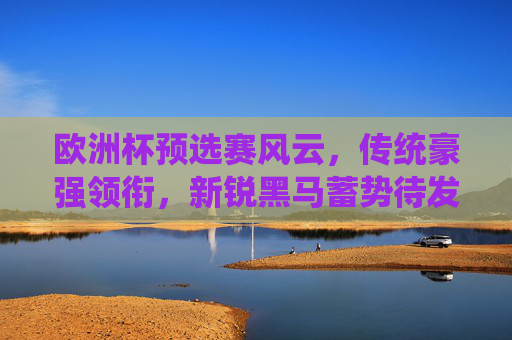 欧洲杯预选赛风云，传统豪强领衔，新锐黑马蓄势待发，欧洲杯预选赛风云，豪强领衔，黑马争锋