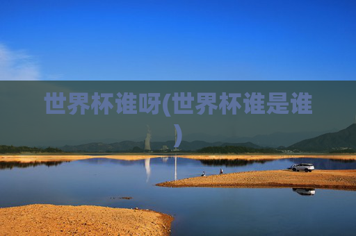 世界杯谁呀(世界杯谁是谁)