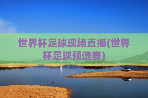 世界杯足球现场直播(世界杯足球预选赛)